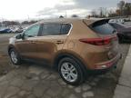 Lot #3024315043 2017 KIA SPORTAGE L