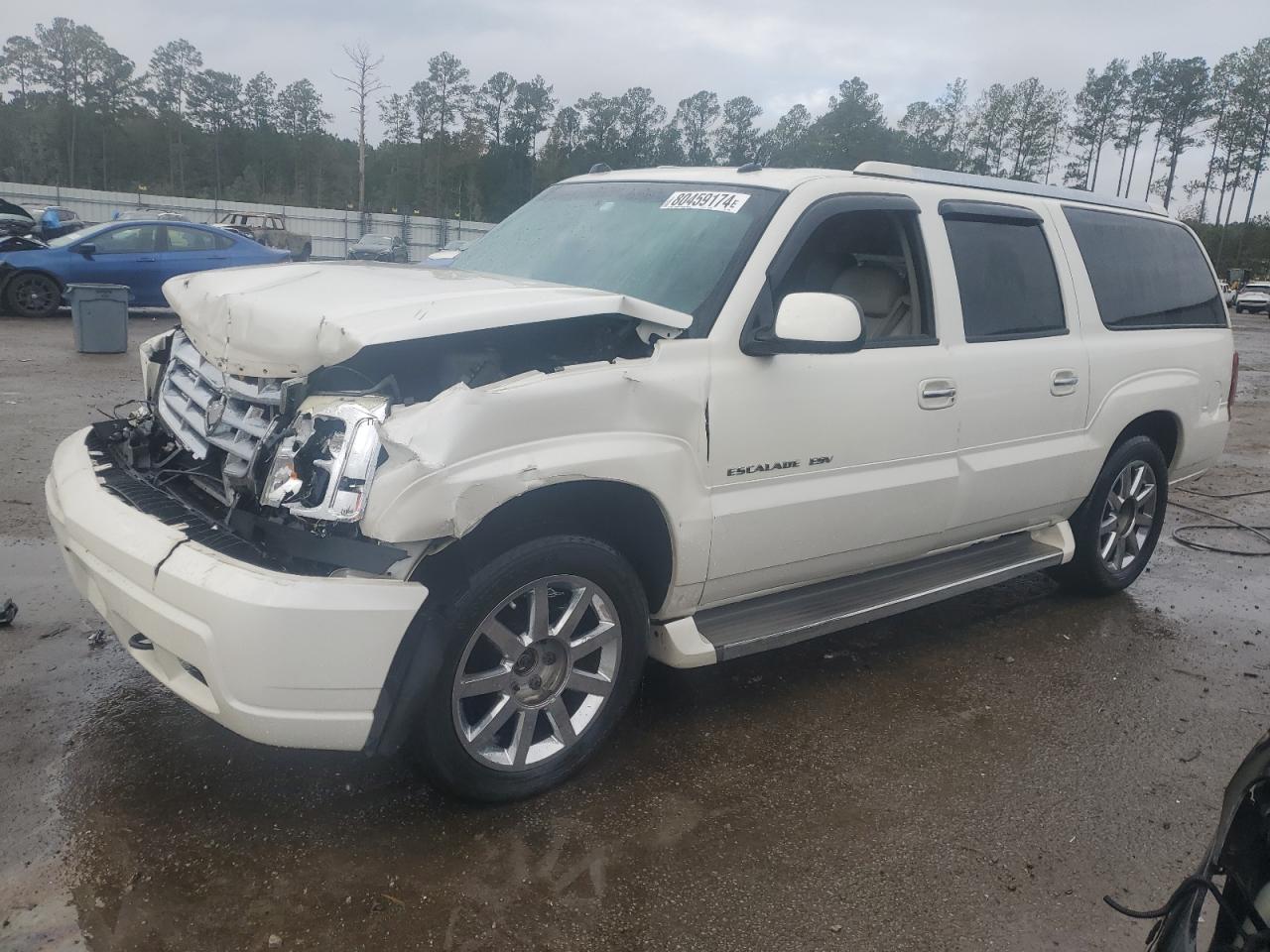 Lot #2989065560 2005 CADILLAC ESCALADE E