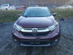 Lot #3024061643 2019 HONDA CR-V EX