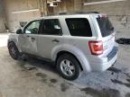 FORD ESCAPE XLT снимка