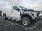 Lot #3024344613 2024 CHEVROLET SILVERADO