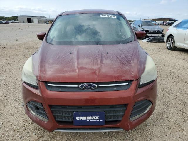 VIN 1FMCU0GX2EUE38874 2014 Ford Escape, SE no.5