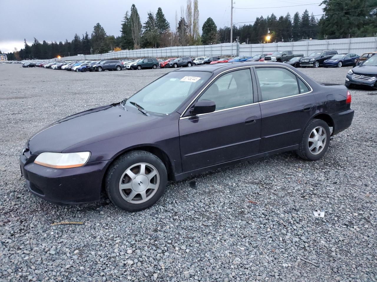 Lot #3034537896 1999 HONDA ACCORD EX