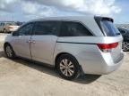 HONDA ODYSSEY EX photo