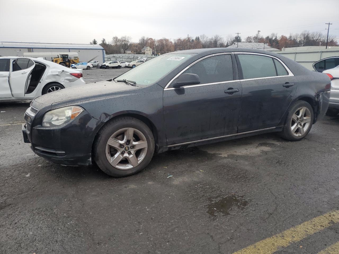 Lot #3033236877 2010 CHEVROLET MALIBU 1LT