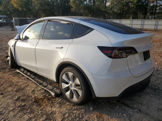 2021 TESLA MODEL Y - 5YJYGDEE0MF305418