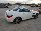 Lot #3024349604 2013 MERCEDES-BENZ SLK 250