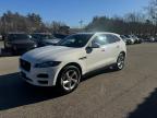 JAGUAR F-PACE PRE photo