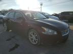 Lot #3022778356 2013 NISSAN MAXIMA S