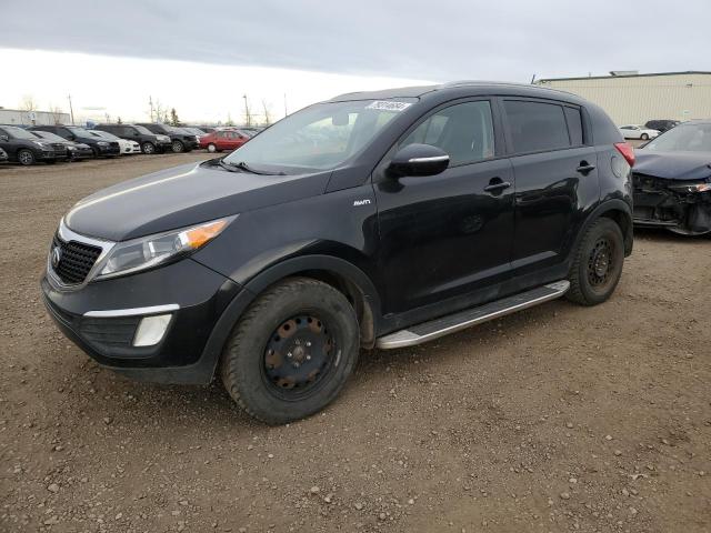 KIA SPORTAGE L 2014 black 4dr spor gas KNDPBCACXE7551781 photo #1