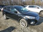 Lot #3024591596 2018 FORD ESCAPE SE