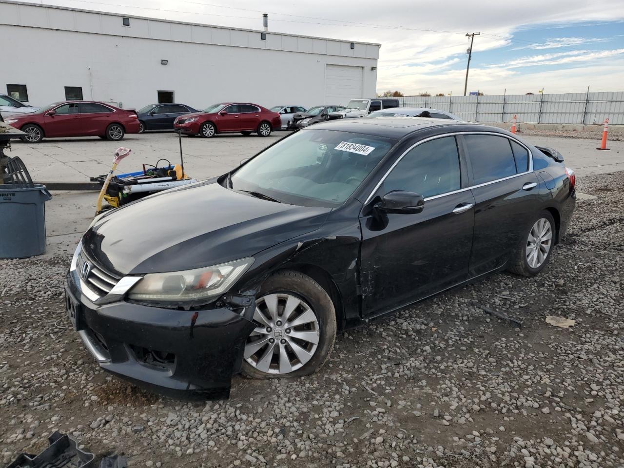 HONDA ACCORD EXL