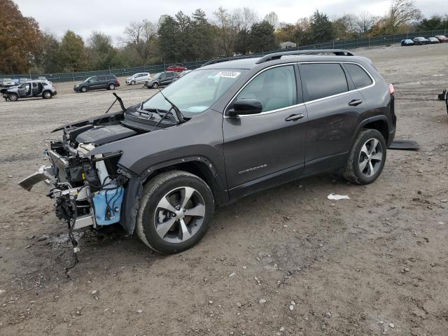 2022 JEEP CHEROKEE L - 1C4PJMDX5ND506255