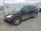 HONDA CR-V EXL photo