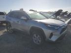 TOYOTA RAV4 XLE photo