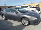 NISSAN MAXIMA S photo