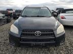 TOYOTA RAV4 photo