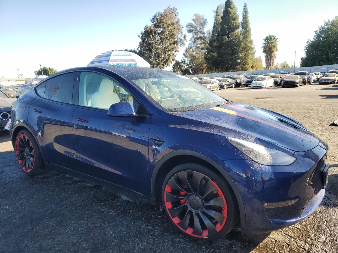 Lot #3030427474 2022 TESLA MODEL Y