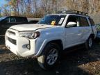 Lot #3024591577 2022 TOYOTA 4RUNNER SR