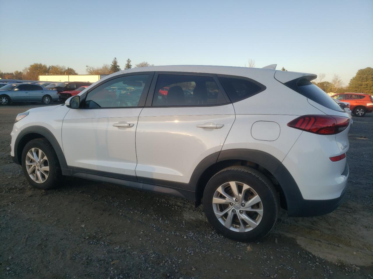 Lot #3024723687 2019 HYUNDAI TUCSON SE