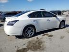 NISSAN MAXIMA S photo