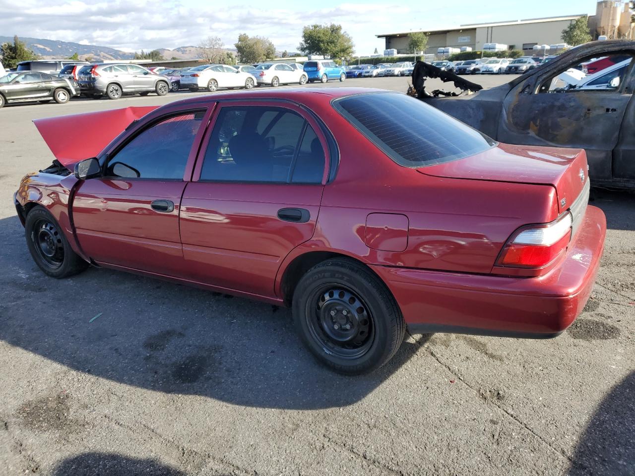 Lot #3034259138 1997 TOYOTA COROLLA BA