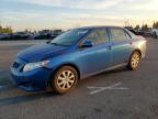 Lot #3029849251 2010 TOYOTA COROLLA BA