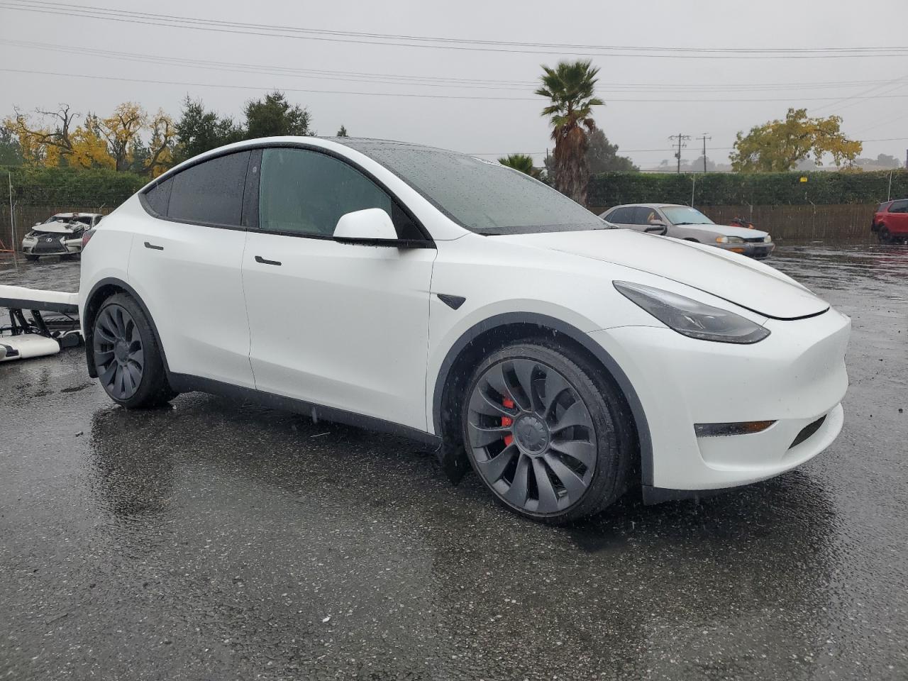 Lot #3033213812 2024 TESLA MODEL Y