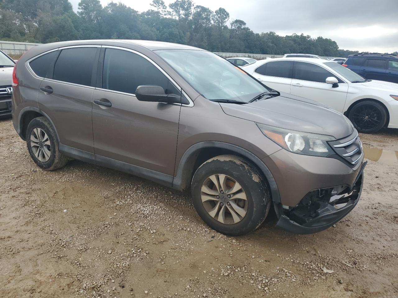 Lot #2991737127 2014 HONDA CR-V LX