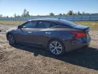 Lot #3023857867 2016 NISSAN MAXIMA 3.5