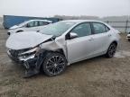 Lot #3025201636 2014 TOYOTA COROLLA L