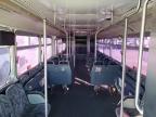 Lot #3023814975 1997 GILLIG BUS