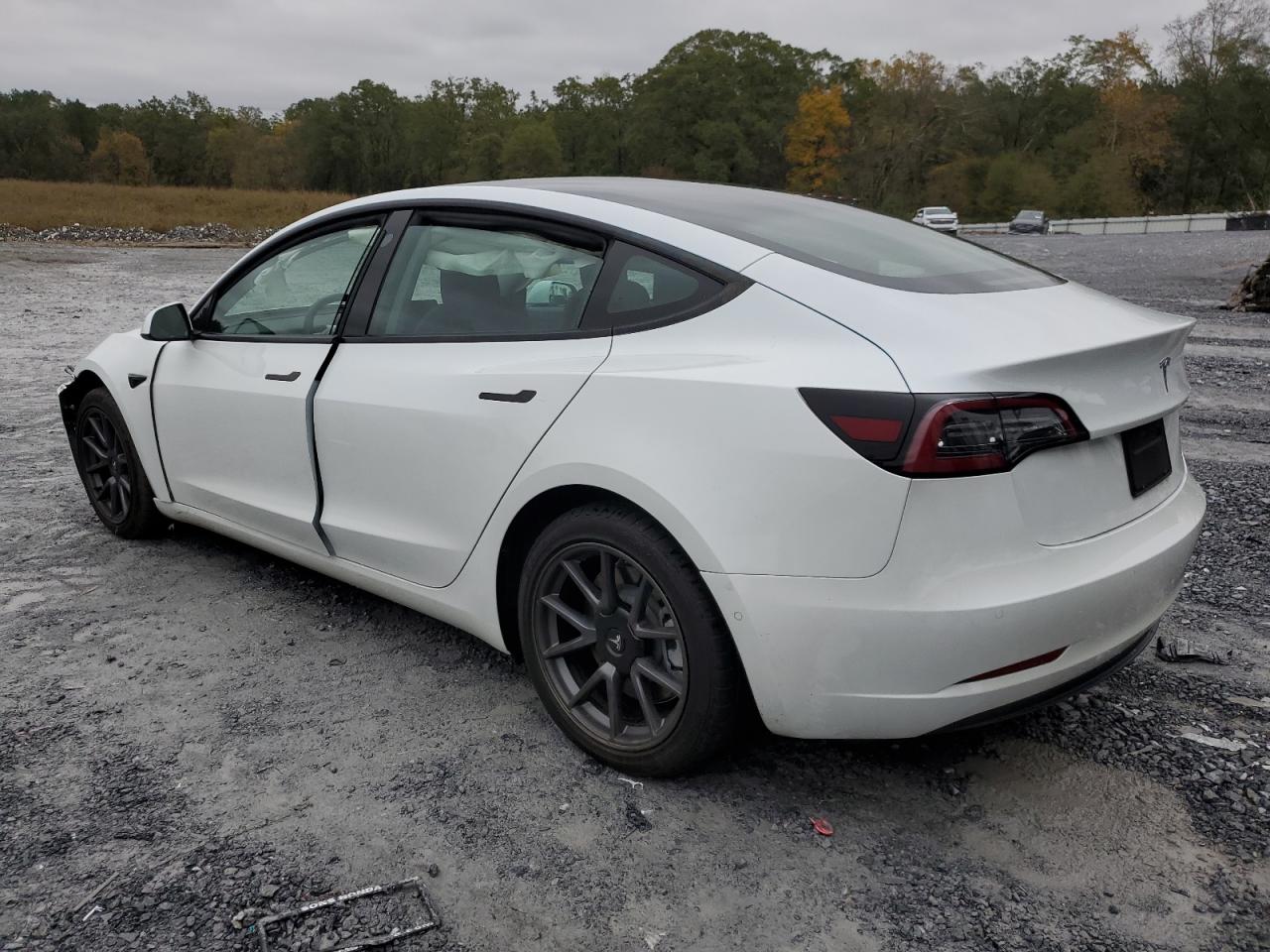 Lot #3034397139 2021 TESLA MODEL 3