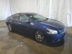 NISSAN MAXIMA S photo