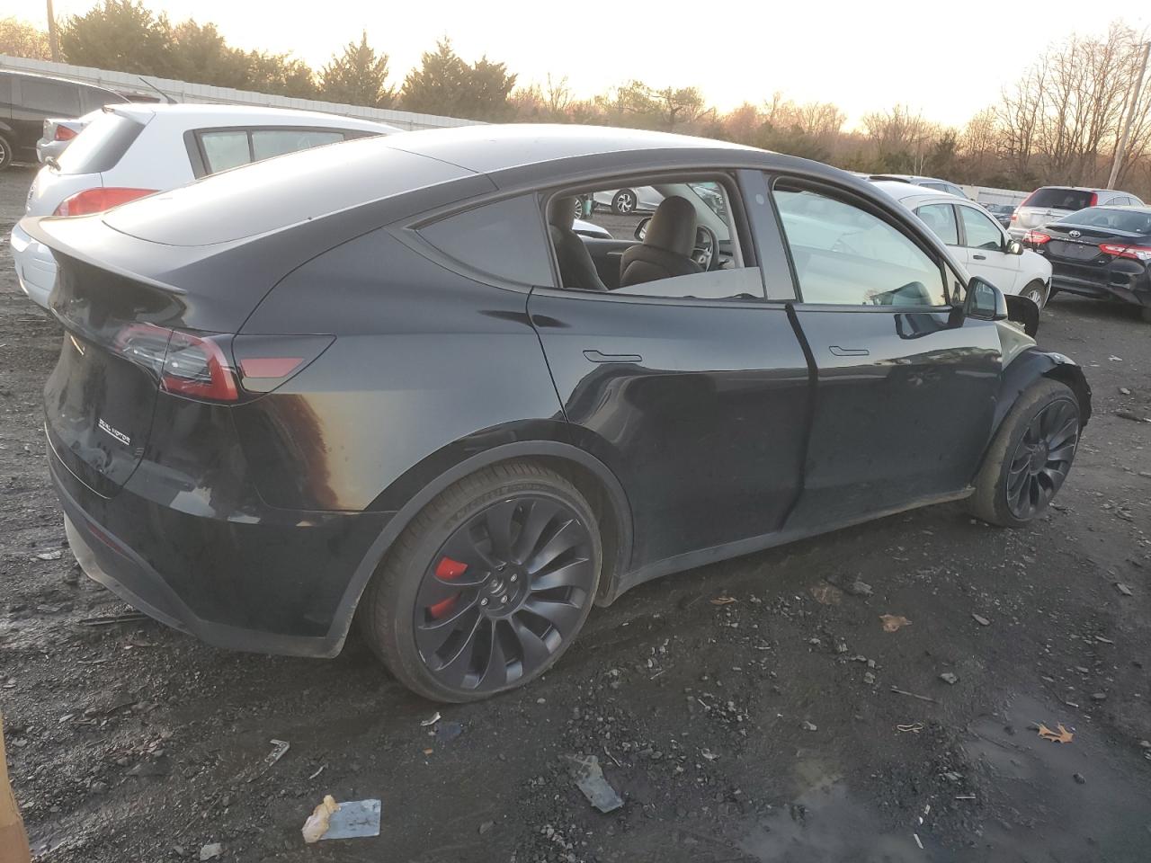 Lot #3037246486 2023 TESLA MODEL Y