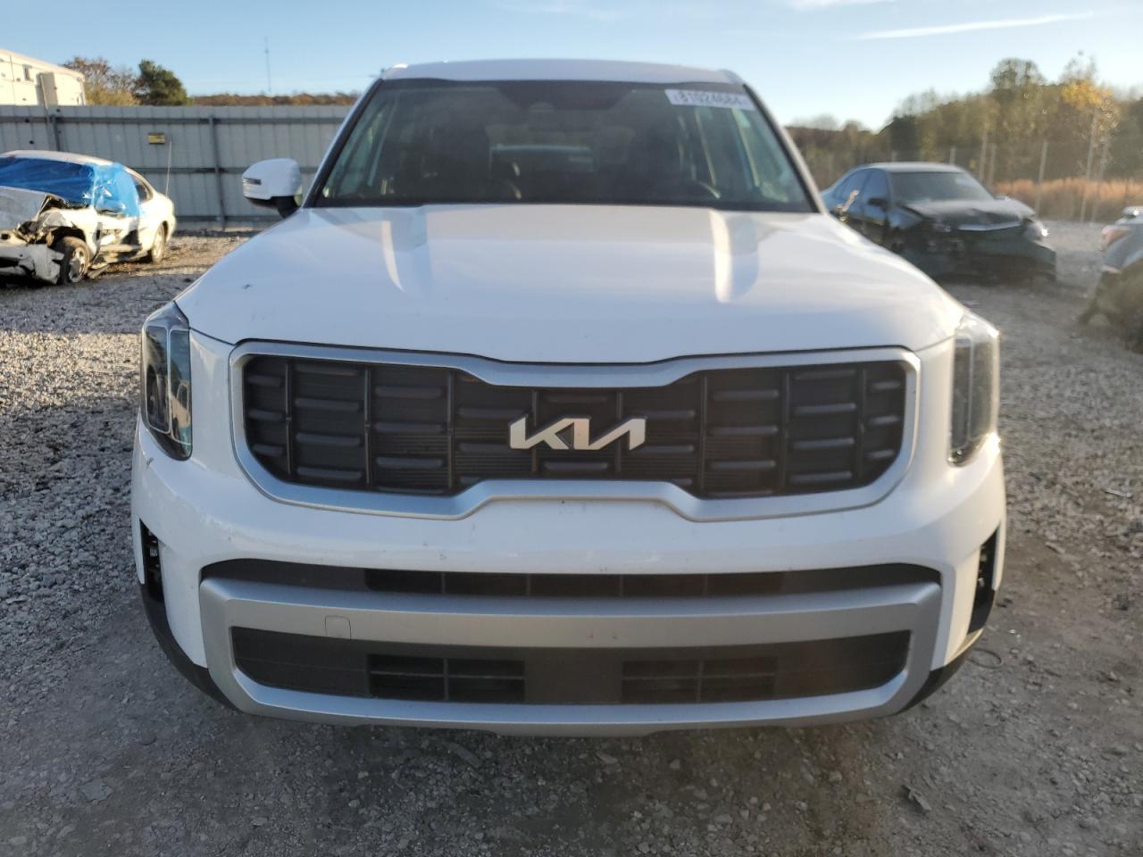 Lot #3026042962 2024 KIA TELLURIDE