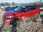 2024 JEEP COMPASS TR - 3C4NJDDN0RT163070