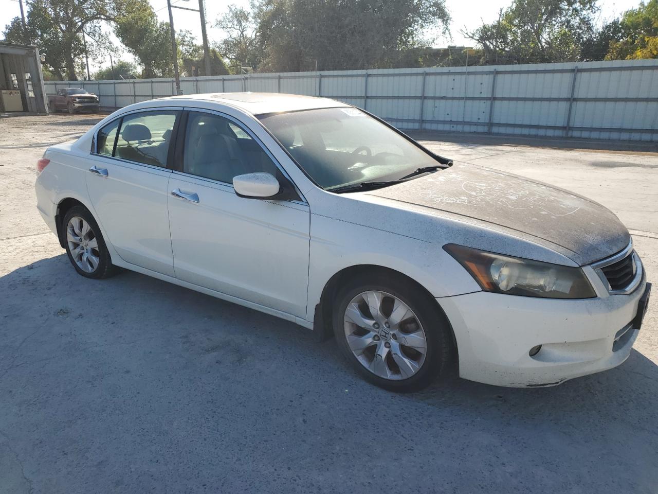 Lot #2974377472 2008 HONDA ACCORD EXL