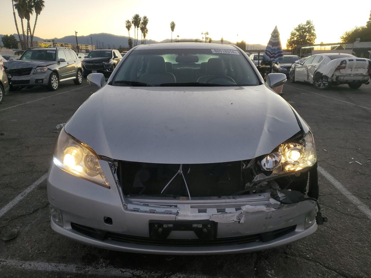 Lot #3024381574 2010 LEXUS ES 350