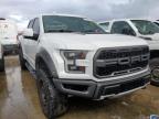 FORD F150 RAPTO photo