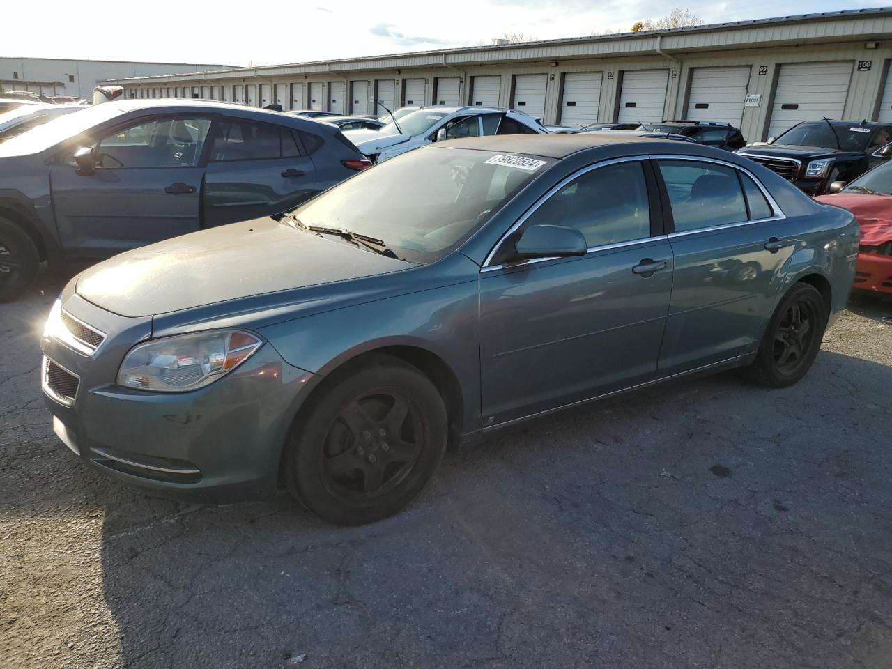 Lot #2969999993 2009 CHEVROLET MALIBU 1LT