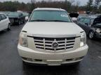 Lot #3024298830 2007 CADILLAC ESCALADE L