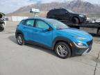 Lot #3023831920 2022 HYUNDAI KONA SEL