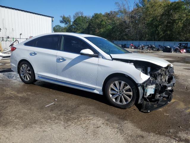 VIN 5NPE34AF1HH583359 2017 Hyundai Sonata, Sport no.4