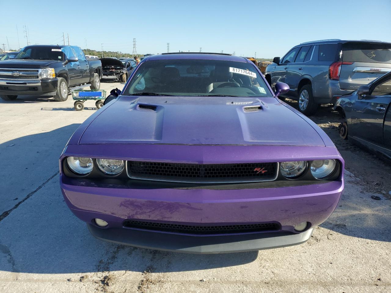 Lot #2994148300 2013 DODGE CHALLENGER