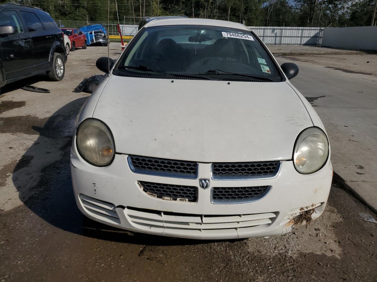 Lot #3034303076 2005 DODGE NEON SXT