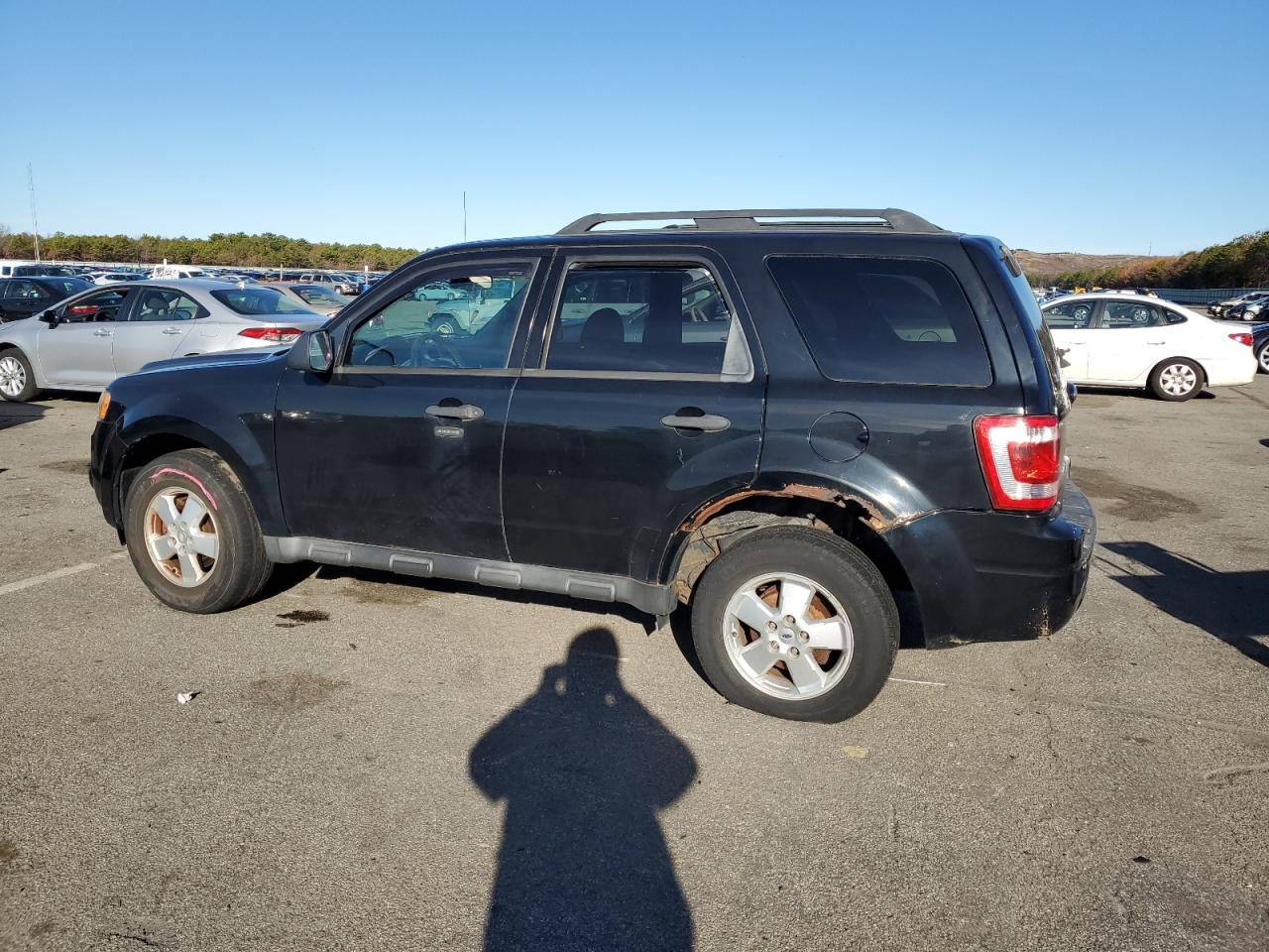 Lot #3006621626 2012 FORD ESCAPE XLT