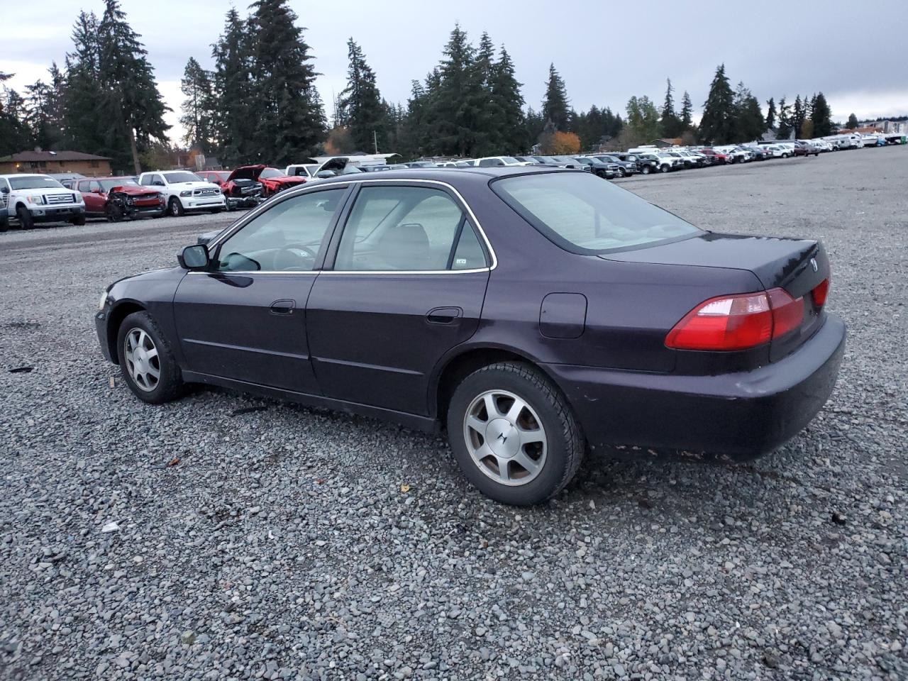 Lot #3034537896 1999 HONDA ACCORD EX