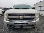 Lot #3024059651 2009 CHEVROLET SILVERADO