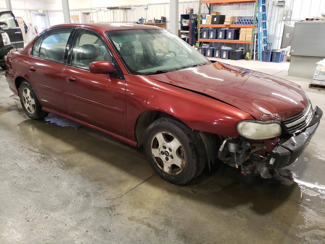 Lot #2989172879 2003 CHEVROLET MALIBU LS